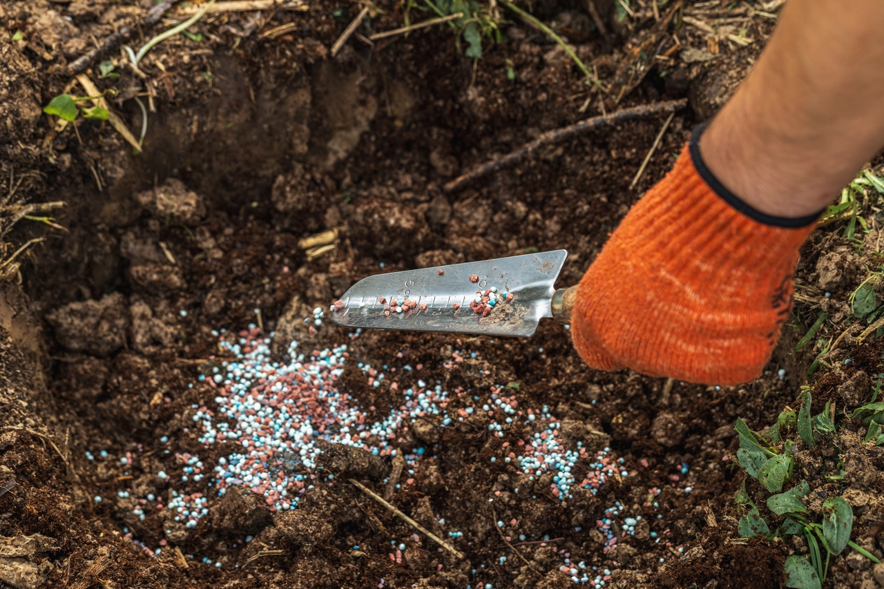 Il lato nascosto dei fertilizzanti chimici