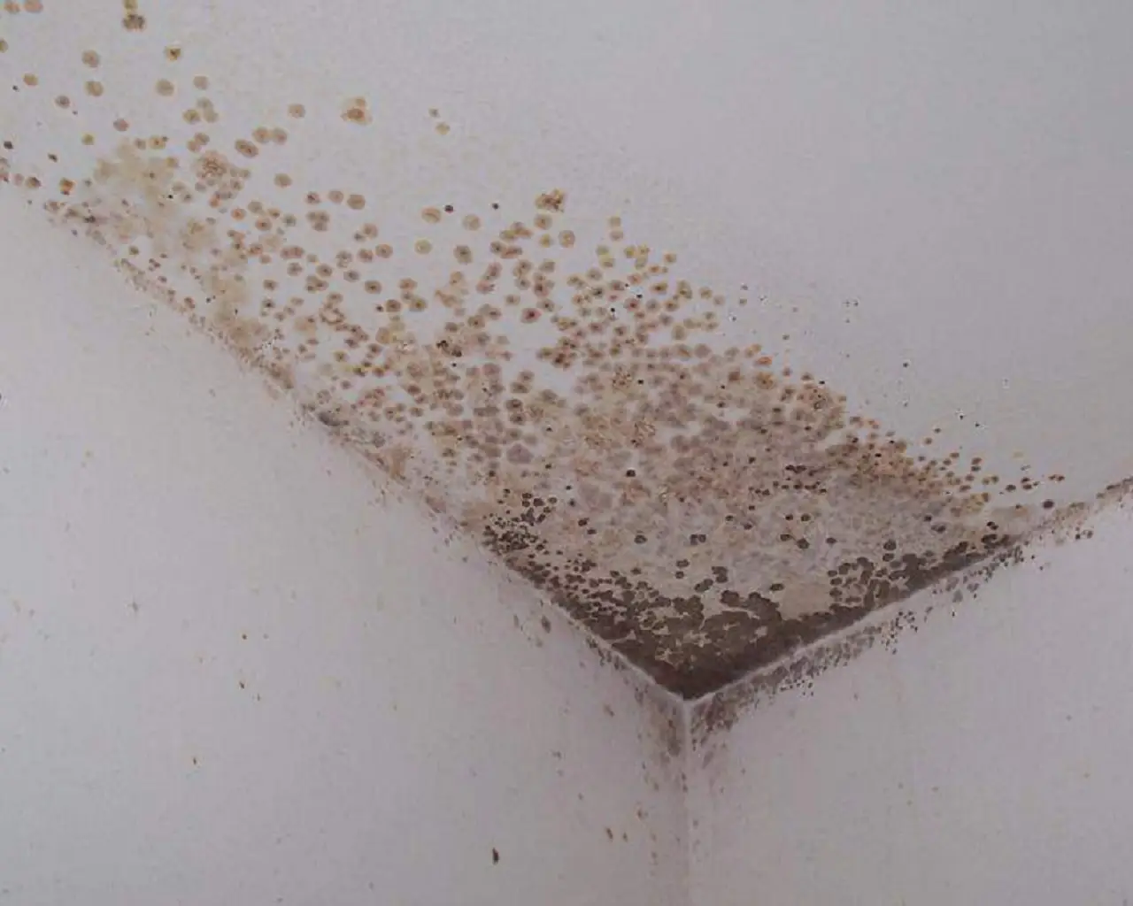 Se hai muffa in camera da letto e noti questi sintomi vai subito dal dottore