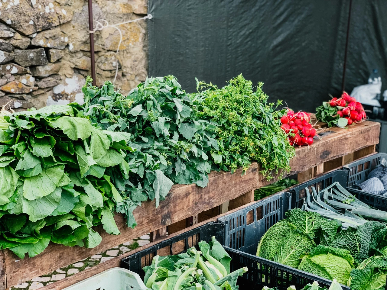 Il nutrizionista rivela: ecco la verdura che mangiata ogni giorno accelera il dimagrimento