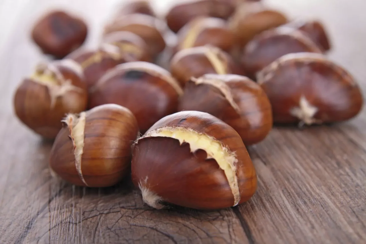 Le castagne fanno ingrassare o no? Tutta la verità sulle calorie di questo frutto autunnale