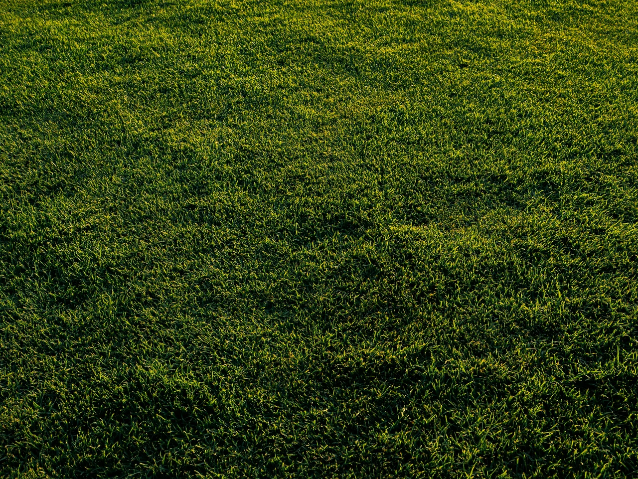 Il segreto per avere un prato senza buche