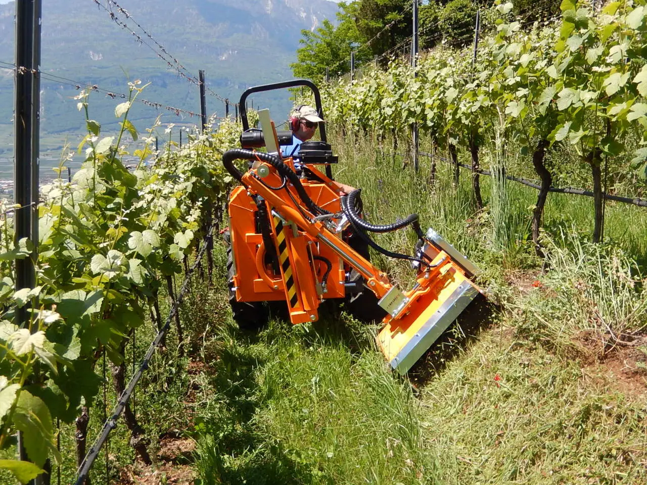 Quanto costa un’ora di trinciatura dell’erba? Ecco le tariffe 2025